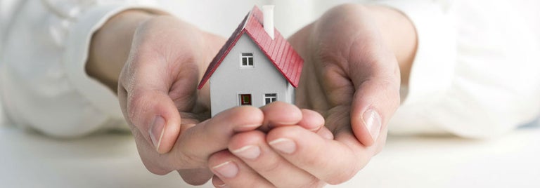 Person holding miniature house